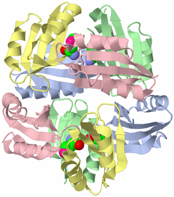 Image Biological Unit 1