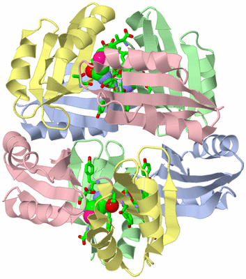 Image Biol. Unit 1 - sites