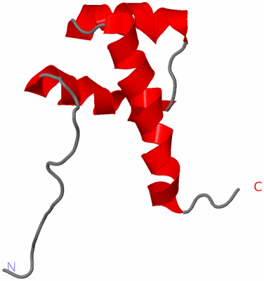 Image NMR Structure - model 1