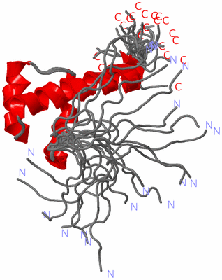 Image NMR Structure - all models