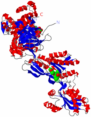 Image Asym./Biol. Unit