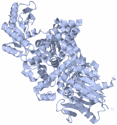 Image Biological Unit 1