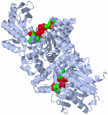 Image Biological Unit 1