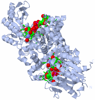 Image Biol. Unit 1 - sites