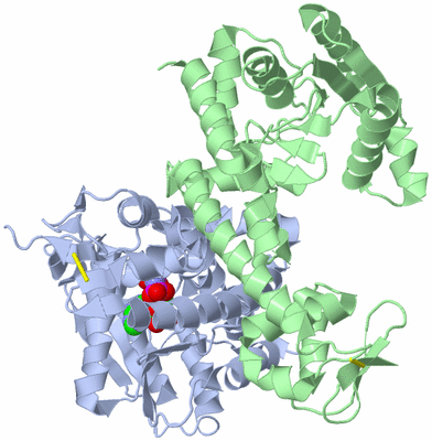 Image Biological Unit 1