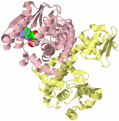 Image Biological Unit 2