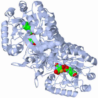 Image Biological Unit 1