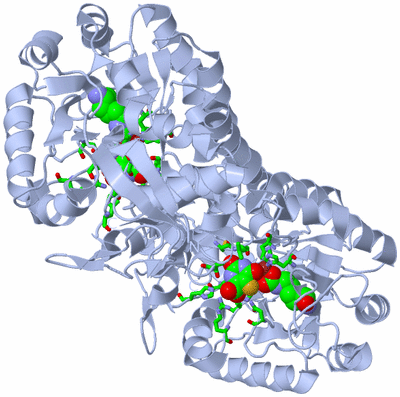 Image Biol. Unit 1 - sites