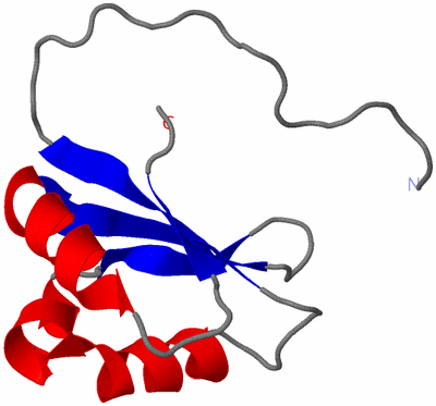 Image NMR Structure - model 1