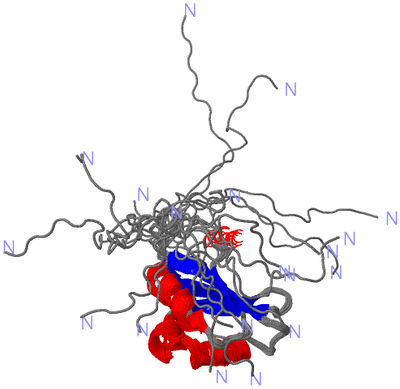 Image NMR Structure - all models