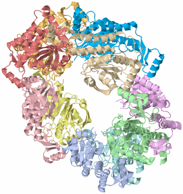 Image Asym./Biol. Unit