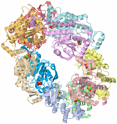 Image Asym./Biol. Unit