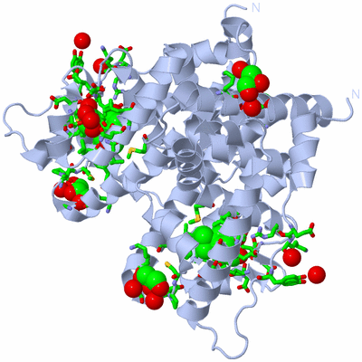 Image Biol. Unit 1 - sites