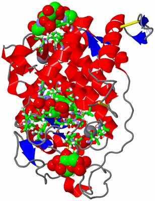 Image Asym./Biol. Unit - sites