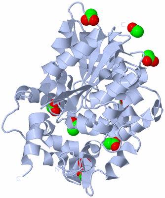 Image Biological Unit 2