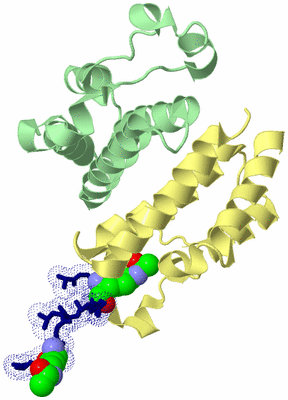 Image Biological Unit 2