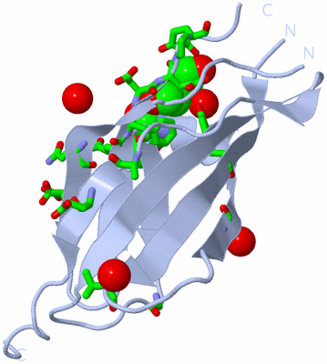 Image Biol. Unit 1 - sites