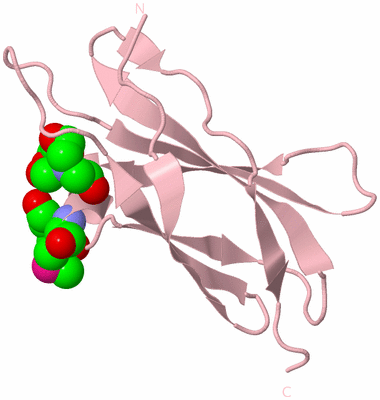 Image Biological Unit 3