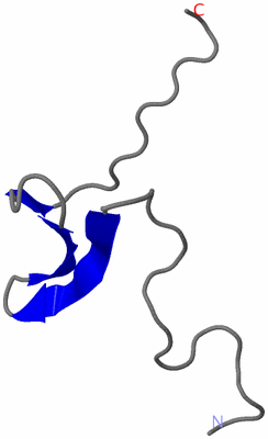 Image NMR Structure - model 1