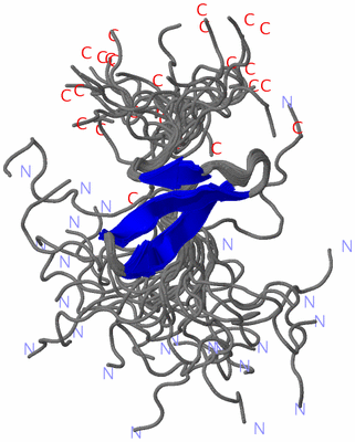 Image NMR Structure - all models