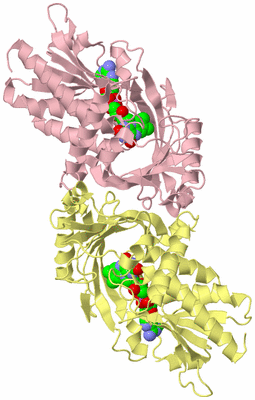 Image Biological Unit 2