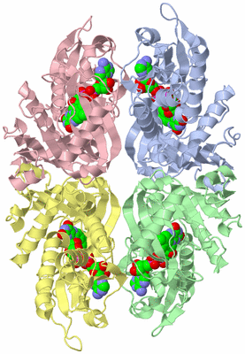 Image Biological Unit 3