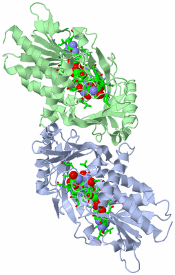 Image Biol. Unit 1 - sites