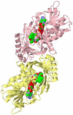 Image Biological Unit 2