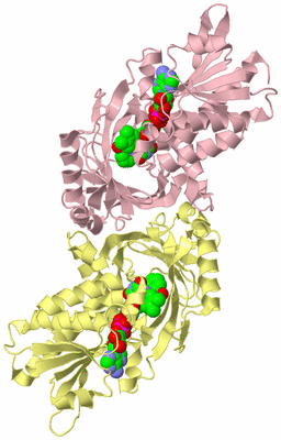 Image Biological Unit 2