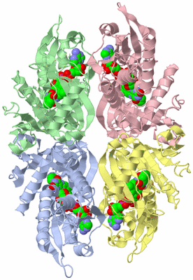 Image Biological Unit 3