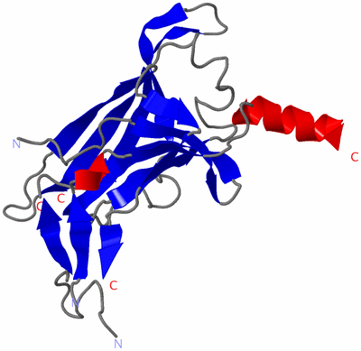 Image Asymmetric Unit