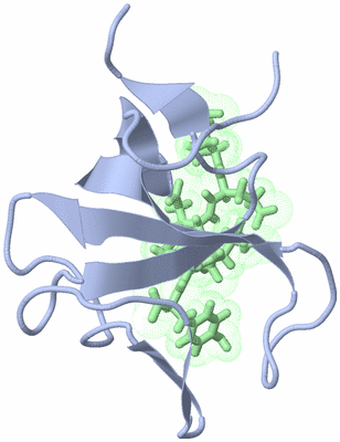 Image NMR Structure - model 1