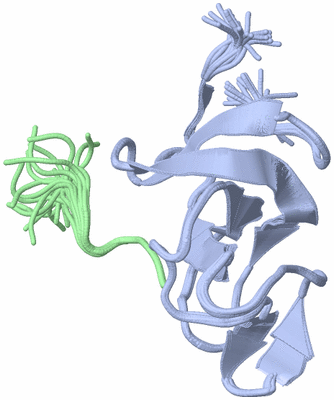 Image NMR Structure - all models