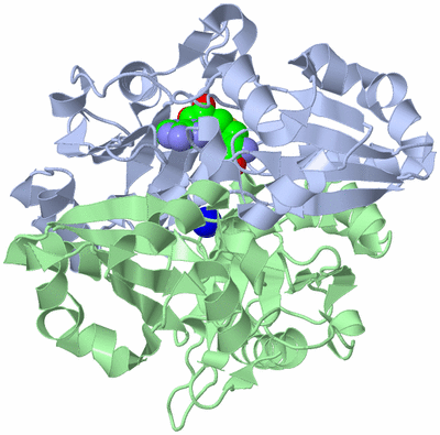 Image Asym./Biol. Unit