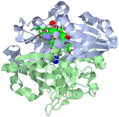 Image Asym./Biol. Unit - sites