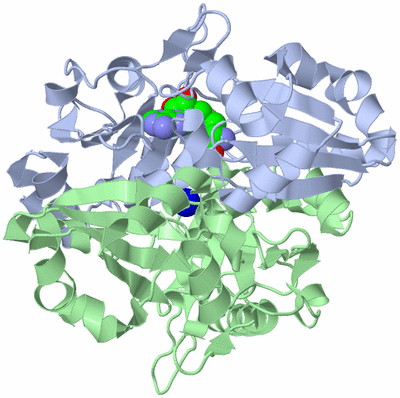 Image Asym./Biol. Unit