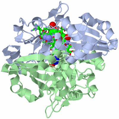 Image Asym./Biol. Unit - sites