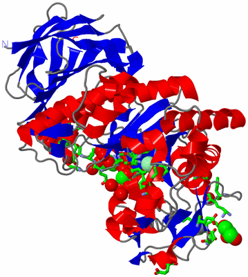 Image Asym./Biol. Unit - sites