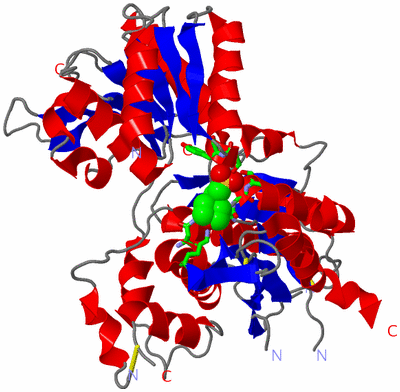 Image Asym. Unit - sites