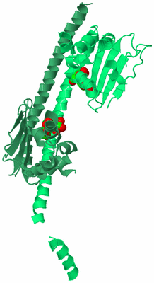 Image Biological Unit 2