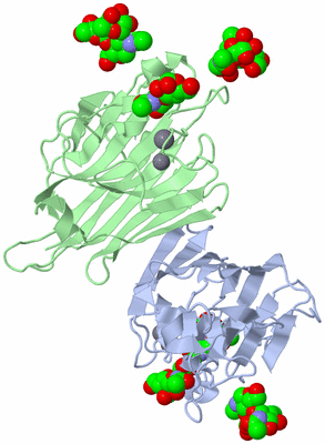 Image Biological Unit 1