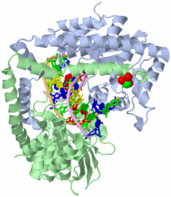 Image Biological Unit 1