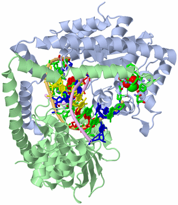 Image Biol. Unit 1 - sites