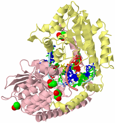 Image Biological Unit 2