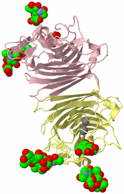 Image Biological Unit 2