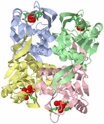 Image Asym./Biol. Unit - sites