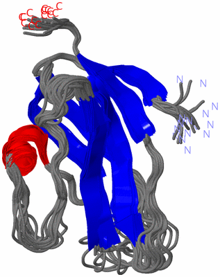 Image NMR Structure - all models