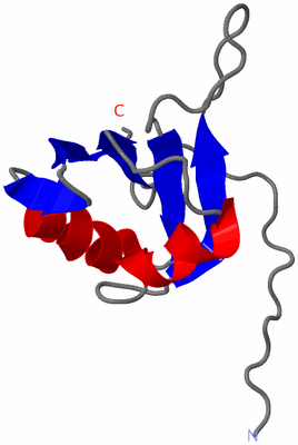 Image NMR Structure - model 1