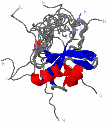 Image NMR Structure - all models