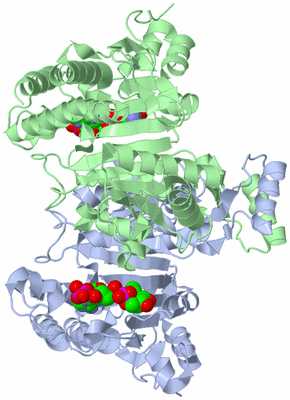 Image Asym./Biol. Unit